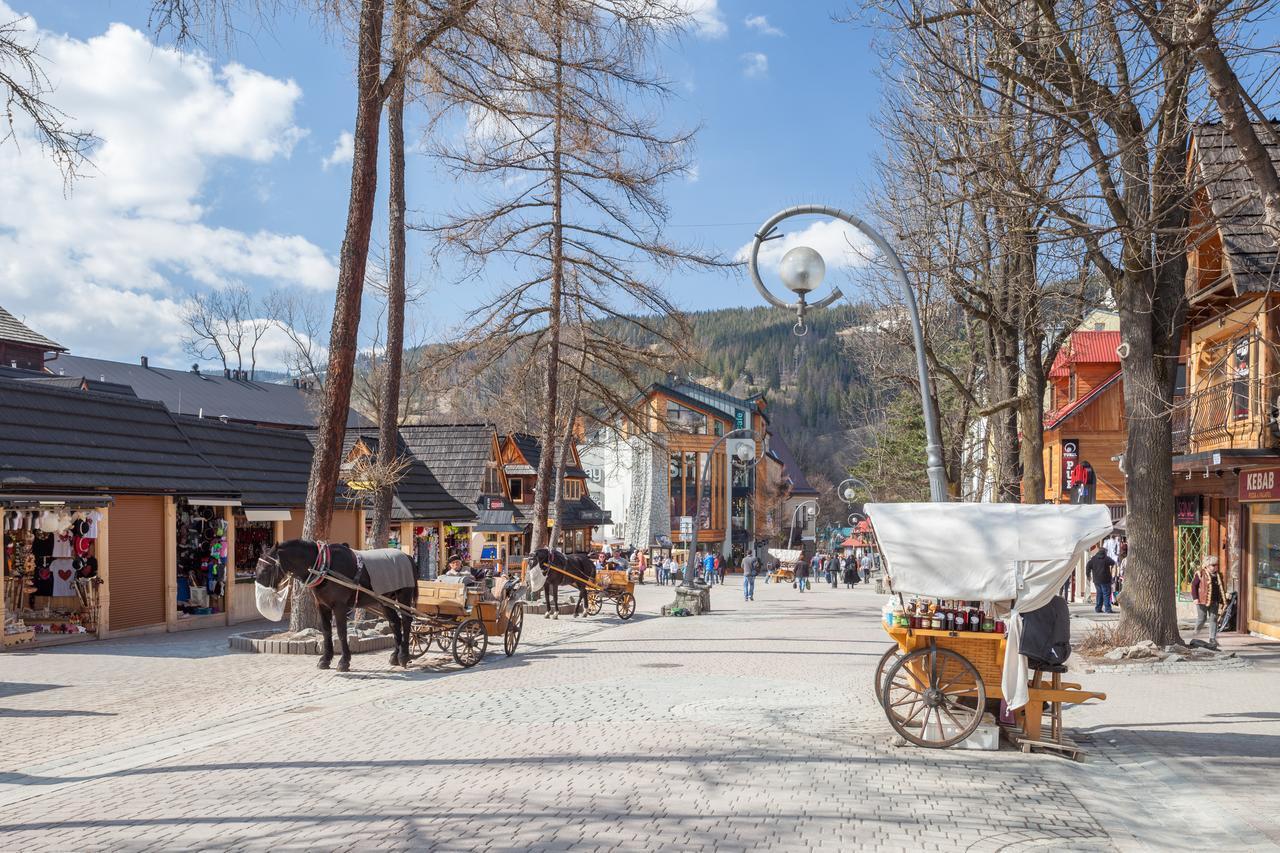 Rent Like - Tetmajera * Zakopane